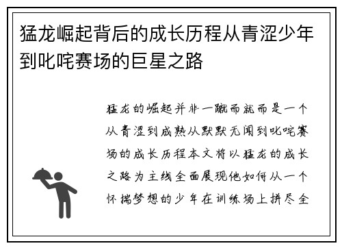 猛龙崛起背后的成长历程从青涩少年到叱咤赛场的巨星之路